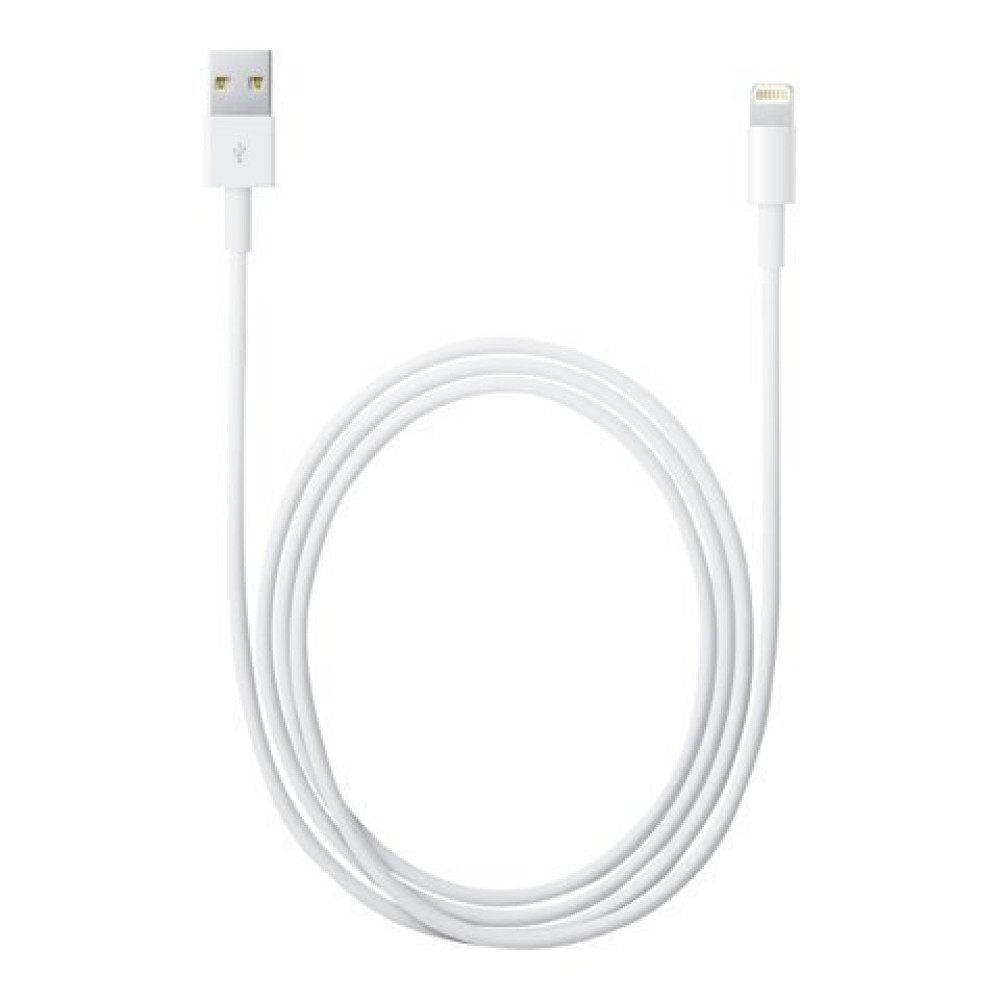 Buy Online Apple Lightning To Usb Cable (0.5M) in Qatar